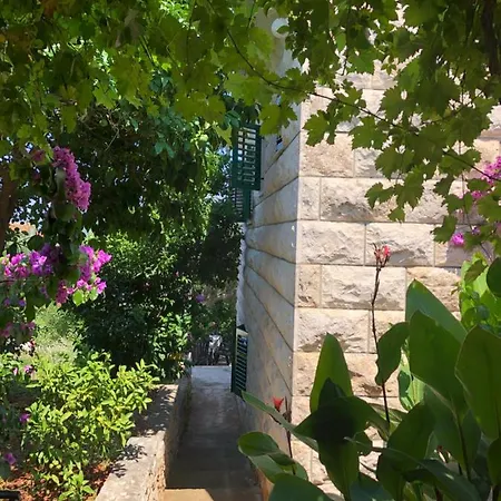 דירה Tonkica