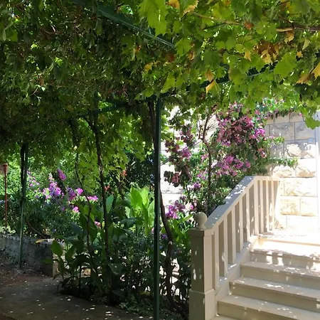 Apartman Tonkica *